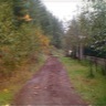 Back Trail